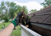 Why you NEED to clean your gutters and how to do it!